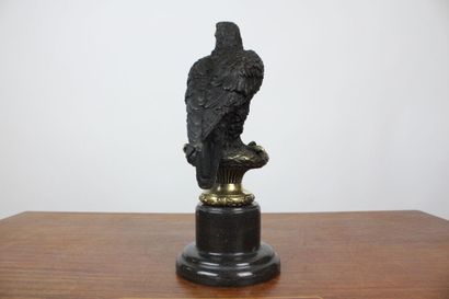 A. THORBUM
Rapace, bronze patiné brun et...
