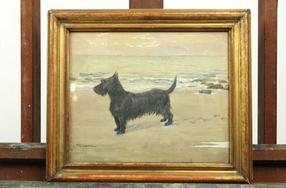 Adolphe Thomasse (1850-1930)
Le chien sur...