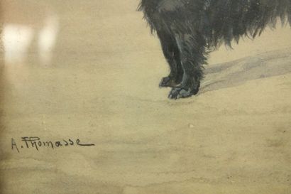Adolphe Thomasse (1850-1930)
Le chien sur...