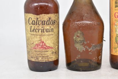 Assortiment de 4 bouteilles de spiritueux...