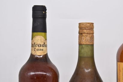Assortiment de 4 bouteilles de spiritueux...