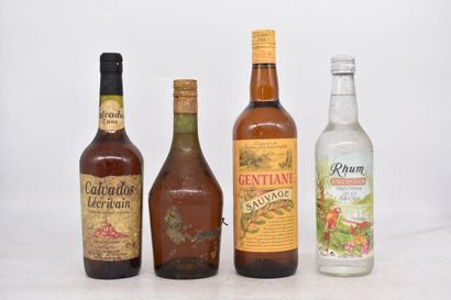 Assortiment de 4 bouteilles de spiritueux...