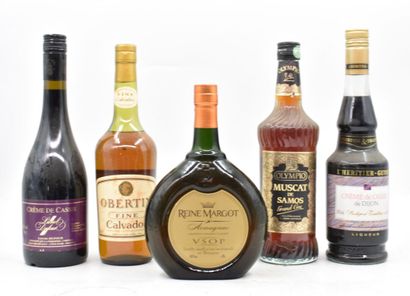 Ensemble de 5 bouteilles d'alcools divers...
