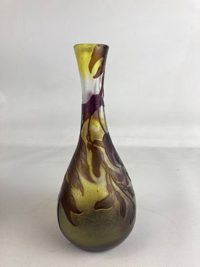 Établissements GALLE (1904-1936).
Vase en...