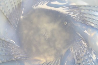R LALIQUE. 
Vasque en cristal opalescent...