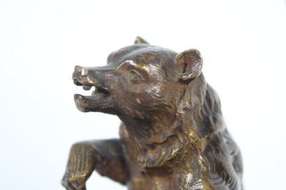 20th century school.
Seated bear, bronze...