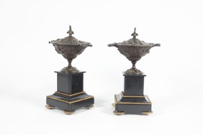 Pair of bronze cassolettes with plant decoration...