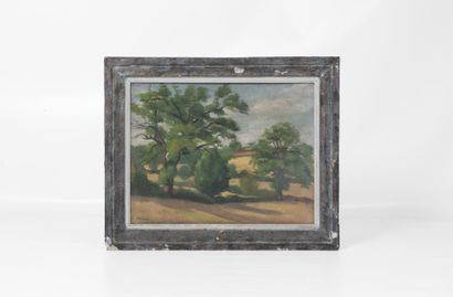 20th century school.
Landscape, oil on isorel....