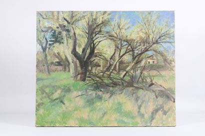 Maurice TAQUOY (1878-1952).
Landscape, oil...