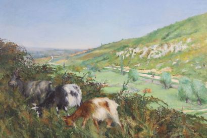 20th century school.
Paysage aux boucs, oil...