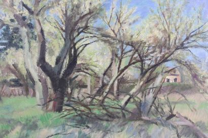 Maurice TAQUOY (1878-1952).
Landscape, oil...