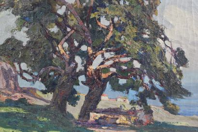 Lucien PERI (1880-1948).
Sunny landscape,...