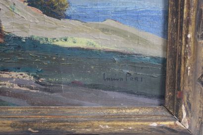 Lucien PERI (1880-1948).
Sunny landscape,...