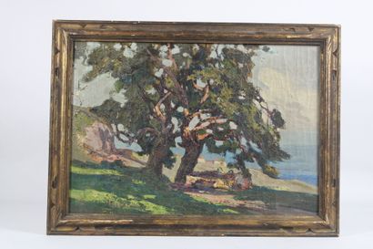 Lucien PERI (1880-1948).
Sunny landscape,...