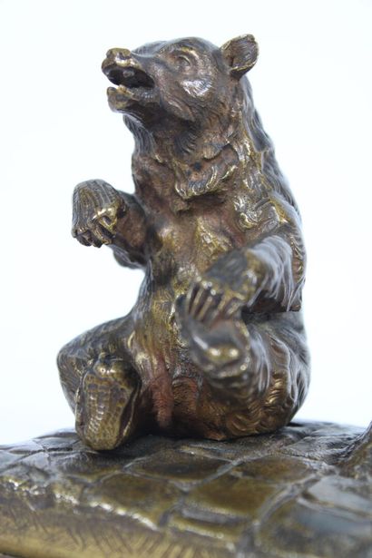 20th century school.
Seated bear, bronze...