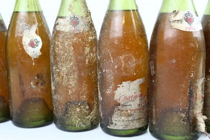16 bouteilles du Domaine Charles VIENOT :
-...