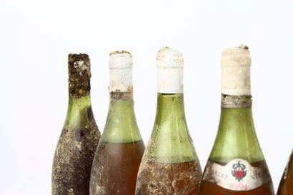 16 bouteilles du Domaine Charles VIENOT :
-...