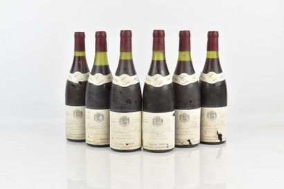 6 bouteilles de LADOIX 1er Cru Les Joyeuses...