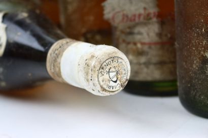 16 bouteilles du Domaine Charles VIENOT :
-...