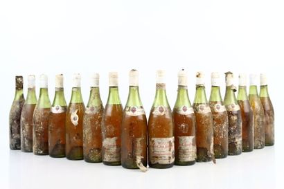 16 bouteilles du Domaine Charles VIENOT :
-...