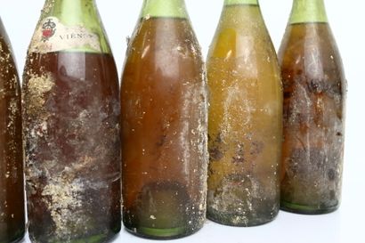 16 bouteilles du Domaine Charles VIENOT :
-...