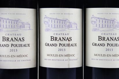 6 bouteilles de MOULIS-EN-MEDOC 2013 du Château...