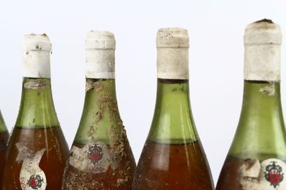 16 bouteilles du Domaine Charles VIENOT :
-...
