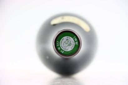 1 bouteille de RICHEBOURG 2013 du domaine...