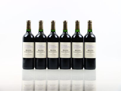 6 bouteilles de MOULIS-EN-MEDOC 2013 du Château...