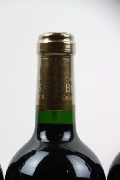 6 bouteilles de MOULIS-EN-MEDOC 2013 du Château...