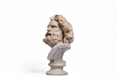 François RUDE (1784-1855) (after) 
Gaul bust....