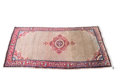 Persian absorbent cotton velvet rug with...