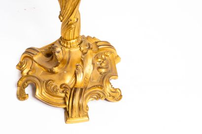 BOYER Frères - Paris (1828-1887) 
Pair of...