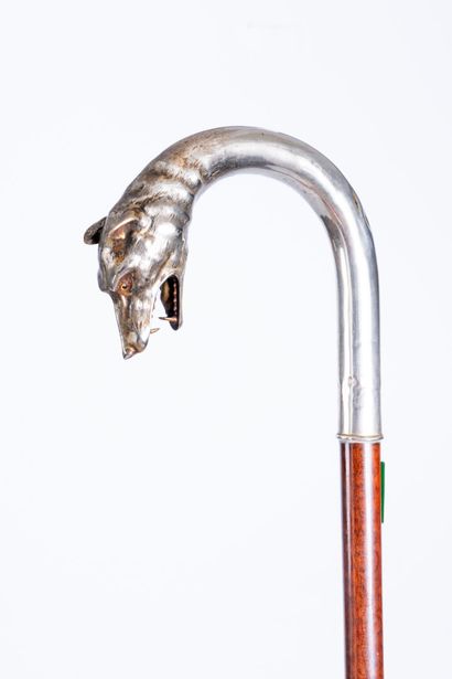 Walnut burl walking stick with silver pommel...
