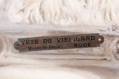François RUDE (1784-1855) (after) 
Gaul bust....