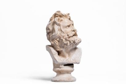 François RUDE (1784-1855) (after) 
Gaul bust....