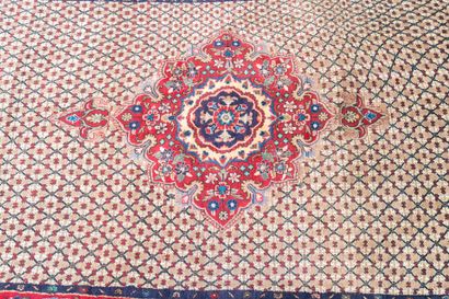 Persian absorbent cotton velvet rug with...
