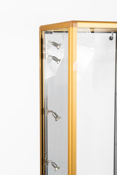 Pair of two rectangular brass display cabinets...
