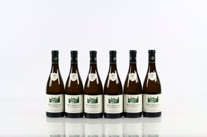 6 bouteilles de MEURSAULT Clos de Mazeray...
