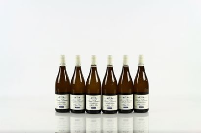 6 bouteilles de SAINT-ROMAIN Les Cinq Climats...
