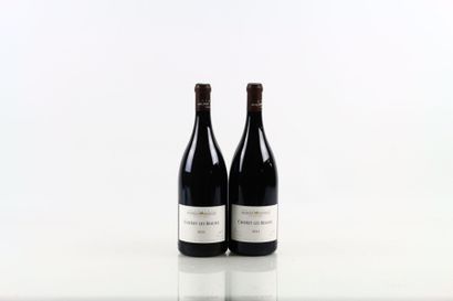 2 Magnums de CHOREY LES BEAUNE 2021 du Domaine...