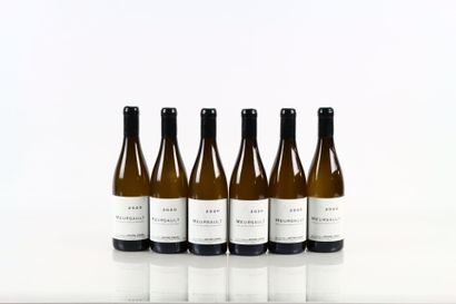 6 bouteilles de MEURSAULT 2020 du Domaine...