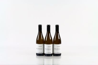 3 bouteilles de MEURSAULT 2020 du Domaine...
