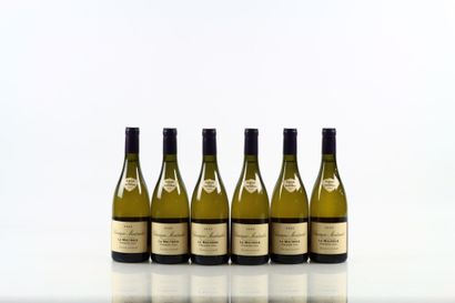 6 bouteilles de CHASSAGNE-MONTRACHET 1er...