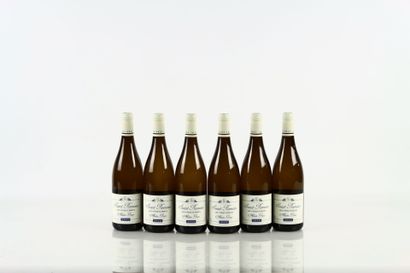 6 bouteilles de SAINT-ROMAIN Les Cinq Climats...