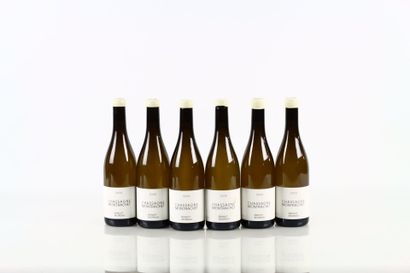 6 bouteilles de CHASSAGNE-MONTRACHET 2020...