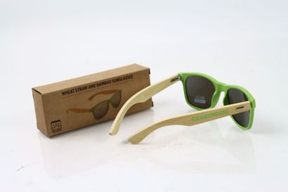 1 paire de Lunettes CHARTREUSE UV 400 dans...