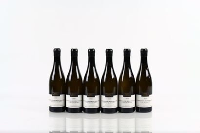 6 bouteilles de CHASSAGNE-MONTRACHET 1er...