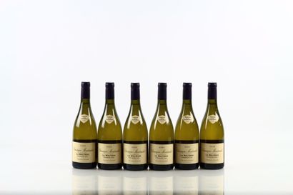 6 bouteilles de CHASSAGNE-MONTRACHET 1er...