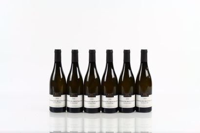 6 bouteilles de CHASSAGNE-MONTRACHET Les...